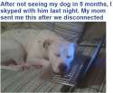 aaawww.jpg