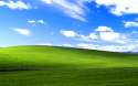 windows_xp_bliss-wide[1].jpg