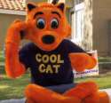 Cool Cat.png