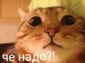 Че надо.jpg