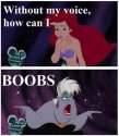 littlememrmaidsboobs.jpg