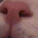 1453541776984.gif