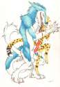 1361736379.kibacheetah_image37647508.jpg