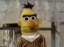 bert-eye.jpg