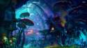 big-mushrooms-32448-1920x1080.jpg