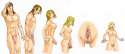 1288066391820__Color_by_Colorbot5000__Rearranged_by_anon_on_4chanB.png