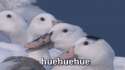 1481365490211.gif