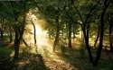 00559_dawninmadrid_2560x1600.jpg