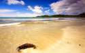 01913_adayatthebeach_2560x1600.jpg