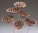 Decorative Lotus Pod Stems in Natural Coloring.jpg
