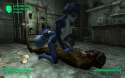 400476 - Fallout Fallout_3 Krystal Star_Fox Starfox_Adventures crossover three_dog.jpg