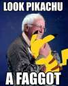 bernie_LookMittens.jpg