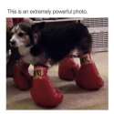 1460203329760.jpg