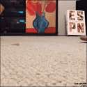 tumblr_o2zrnfJYBk1v8d9ifo6_400.gif