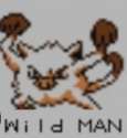 wild_man.png