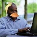 StockDucc.png