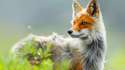 14uIVWJ.jpg