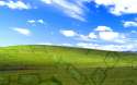 02 - Hank Hills.jpg