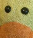 ducc1.jpg