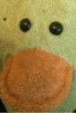 ducc.jpg