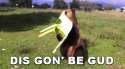 1828675.gif