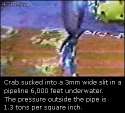 1456957235126.gif