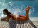 ni530.jpg