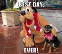 177412-Best-Day-Ever.jpg
