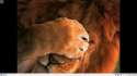 2016-03-02-233108_1366x768_scrot.png
