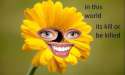 flowey.jpg