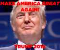 CAN'T DUMP THE TRUMP bump bump.png