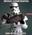 Fear da kitteh.jpg
