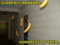 suddenly_bananas.jpg