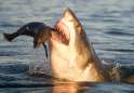 1334324545.jpg