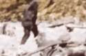 bigfoot.gif