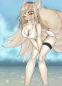 2CD05ninetalesmorph1_trz.png