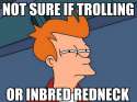 troll.jpg