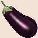 eggPlant-v12.png