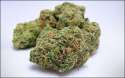 mg_weed_3446.jpg