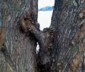 what a beech.jpg