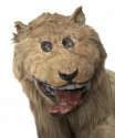 665fd1d2-lion.jpg