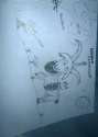 ^FD1CF7B90EE2FB44AD02559AC53818754E7556686F7120547E^pimgpsh_thumbnail_win_distr.jpg