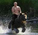 putin on bear.jpg
