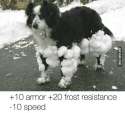 1930338_10154413860021840_2817747705988295663_n.jpg