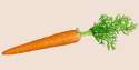 carrots.png
