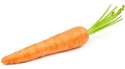 Carrot.jpg