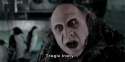 jay peg.gif