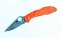 spydercodelica4orange.jpg