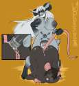 1380415193.koyote_unregisteredcat_mollyandbonessml.png