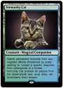 Cat rd.jpg